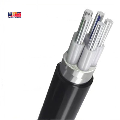 常顺鑫 低压铝芯电缆ZC-YJLV22 4×35+1×16 米