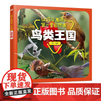 让孩子着迷的第一堂自然课 鸟类王国 3-6岁儿童科普科普绘本儿童绘本 本书采用彩色印刷图片精美将动物形象栩栩如生展示小朋
