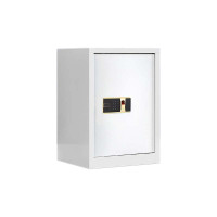 豪利特保密柜财务档案柜文件柜办公室资料储物柜保险柜单门白色--指纹密码锁