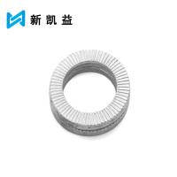 新凯益 达克罗双叠自锁垫圈 M10 个