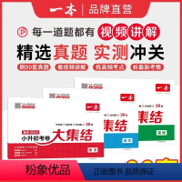 [3套]语数英 小学升初中 [正版]2024小升初总复习试卷 小学毕业升学考卷大集结 语文数学英语小升初真题试卷小学毕业