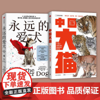 [两本]永远的爱犬+中国大猫 罗德尼哈比卜等著 一只健康、长寿、有活力的永生狗 改变养狗习惯 延长狗狗寿命 狗狗续命指