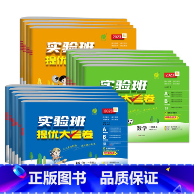 语文[人教版] 三年级下 [正版]2024实验班提优大考卷一二 三四 五六 年级上册语文数学英语人教译林牛津苏教江苏版春