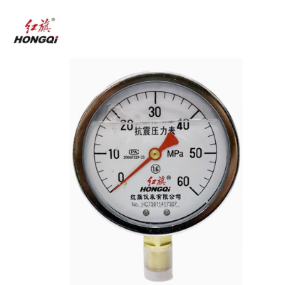 红旗 耐震压力表定制检测款 YTN150 压力值备注 块