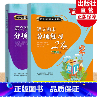 语文 [正版]语文期末分项复习21天二年级上下全2册 核心素养天天练 小学生单元同步测试卷期中末综合复习冲刺检测考试卷作