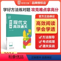 中考现代文高效通关 全国通用 [正版]2024新版中考现代文高效通关阅读理解专项技能训练名著阅读九年级记叙文议论文说明文