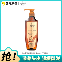 Schwarzkopf施华蔻生姜精华洗发露舒缓型保湿清洁修护去屑护发洗发水洗头膏400ml