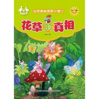 正版新书]小学数学应用题天天练(新版)(4年级)孙玲会9787544