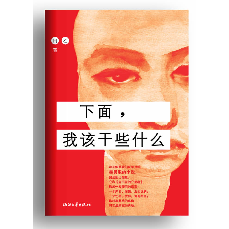 正版新书]下面.我该干些什么阿乙9787533932527