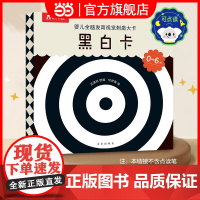 婴儿全脑发育视觉刺激大卡 黑白卡