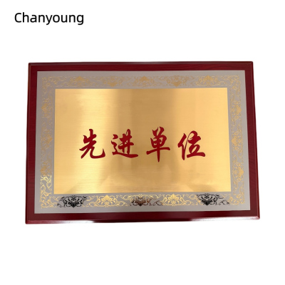 晨洋(Chanyoung)可定制奖牌摆件 HYBG009 块