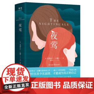 夜莺书籍 [美]克莉丝汀·汉娜 张静初于正 提名国际都柏林文学奖 关于爱与战争外国文学小说书籍