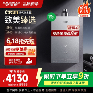 AO史密斯新品小体积13升精钢燃气热水器[小精钢EC5] 持久恒温 天然气 JSQ26-EC5