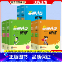 [2本]语文+数学/人教版 小学升初中 [正版]通城学典暑期升级训练一升二升三升四升五升六年级小升初下册语文数学英语人教