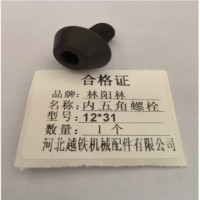 林阳林 内五角螺栓 12*31 个