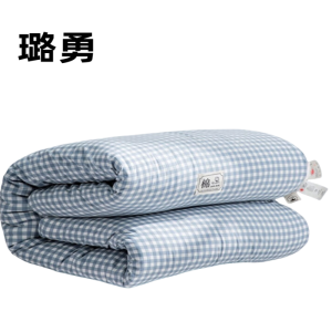 璐勇家纺床褥0.9*2m3斤一个