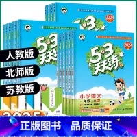 语文(人教版) 一年级上 [正版]2025年 53天天练小学一年级二年级上三年级下四年级五年级六年级上册下册语文数学英语