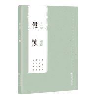 音像侵蚀(百花中篇小说丛书)梁鸿