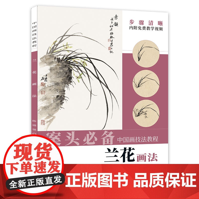 中国画技法教程——兰花画法