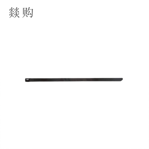 燚购304不锈钢自锁式扎带10*300mm 根