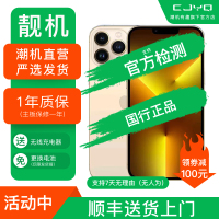 [99新]Apple iPhone 13Pro Max 金色256GB 二手手机 苹果13PM 全网通5G 国行正品