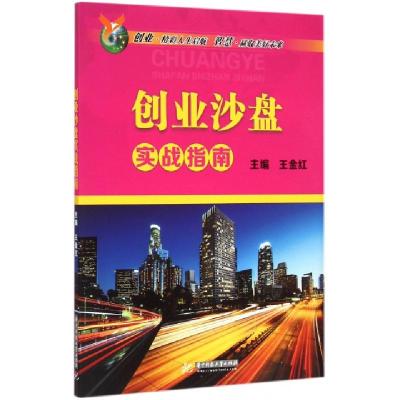 正版新书]创业沙盘实战指南王金红9787568006828