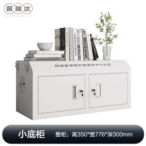 晋瑞达 手机屏蔽柜(小底柜)350*776*300mm/个