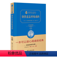 钢铁是怎样炼成的 初中通用 [正版]初中上下册名著阅读朝花夕拾昆虫记猎人笔记绿山墙的安妮绿野仙踪经典小说阅读全译典藏版价