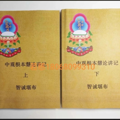 生西法师(智诚堪布) 中观根本慧论讲记 中论讲记 上 下册 全套 辅