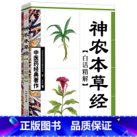 [正版]书店神农本草经白话精解/中医药经典作 中国医学天津科学技术出版社普通大众
