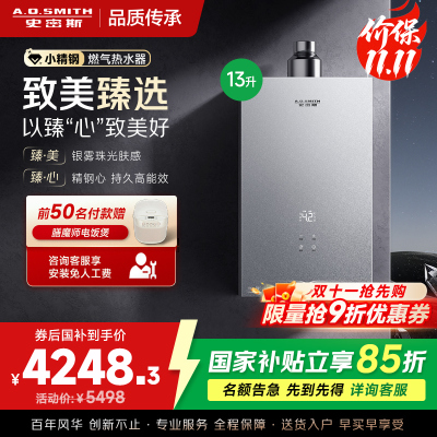 AO史密斯新品小体积13升精钢燃气热水器[小精钢EC5]静音 持久恒温 天然气 JSQ26-EC5