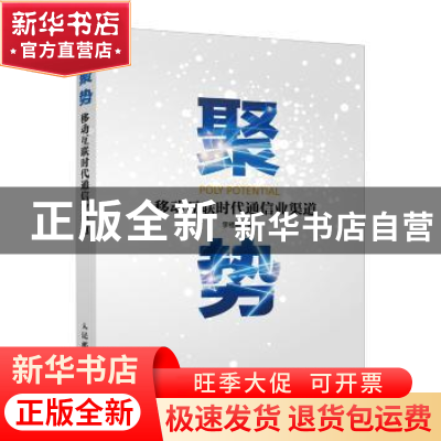 正版 聚势:移动互联时代通信业渠道 李祖鹏 人民邮电出版社 9787