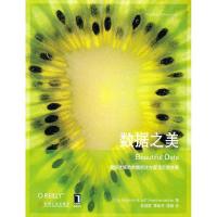 正版新书]数据之美(美)托比 祝洪凯 李妹芳 段炼9787111315124
