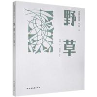 正版新书]野草鲁迅9787531748137