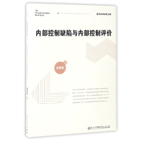音像内部控制缺陷与内部控制评价/青年经济学者文库林野萌