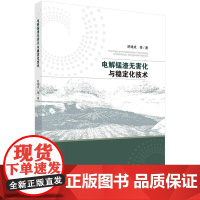 [按需印刷] 电解锰渣无害化与稳定化技术
