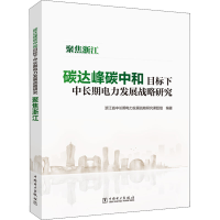 [M]碳达峰碳中和目标下中长期电力发展战略研究 聚焦浙江-9787519863548