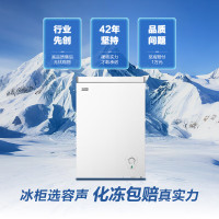 容声 BD/BC-100E10HNLAJ 100升小型冰柜家用冷藏冷冻转换卧式冷柜一级能效顶开门母乳存放小冰箱