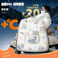 正雨电动车挡风被冬季加绒加厚电瓶摩托车防水防风罩防雪新款9063