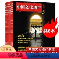 [正版]全年珍藏共6本中国文化遗产合订本杂志 2010年第1/2/3/4/5/6期全年打包组合 双月刊 文化遗产文