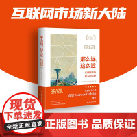 那么远 这么近 互联网市场新大陆巴西 快手研究院·巴西专家组 著 经济