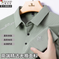 啄木鸟2025春秋新款长袖polo衫男中老年爸爸装T恤休闲翻领上衣服