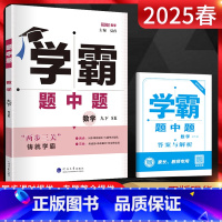 数学 九年级下 [正版]2025春 学霸题中题九年级下册数学苏科版SK 初中初三数学练习册 学霸九年级数学同步训练 9九
