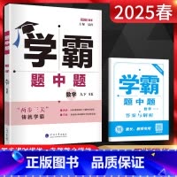 数学 九年级下 [正版]2025春 学霸题中题九年级下册数学苏科版SK 初中初三数学练习册 学霸九年级数学同步训练 9九