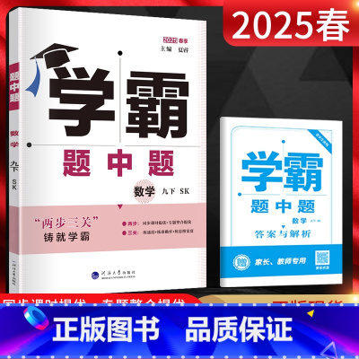 数学 九年级下 [正版]2025春 学霸题中题九年级下册数学苏科版SK 初中初三数学练习册 学霸九年级数学同步训练 9九