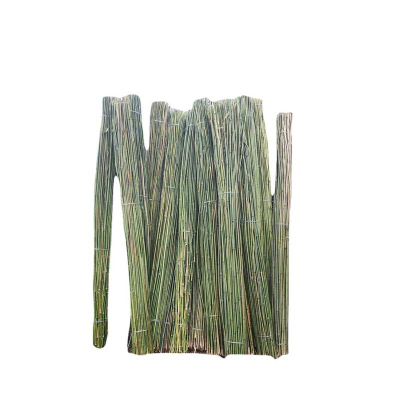 洋蝲蝲 竹竿 30*4000mm 根