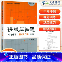 中考化学--轻松入门篇 初中通用 [正版]2024新版挑战压轴题中考数学物理化学入门篇精讲篇强化篇专项训练七年级八年级九