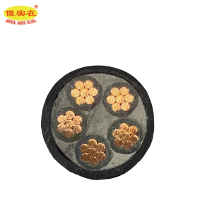 傻实在 电缆 国标全项保检 YJV 5*35mm² 米