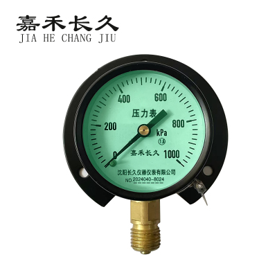 嘉禾长久 风表压力表径向带边(绿底) 块