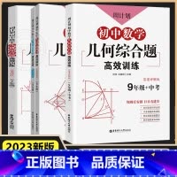 [3本套]初中数学几何综合题 七八九年级 初中通用 [正版]初中数学几何综合题高效训练 七八九年级789年级上下册刷代数